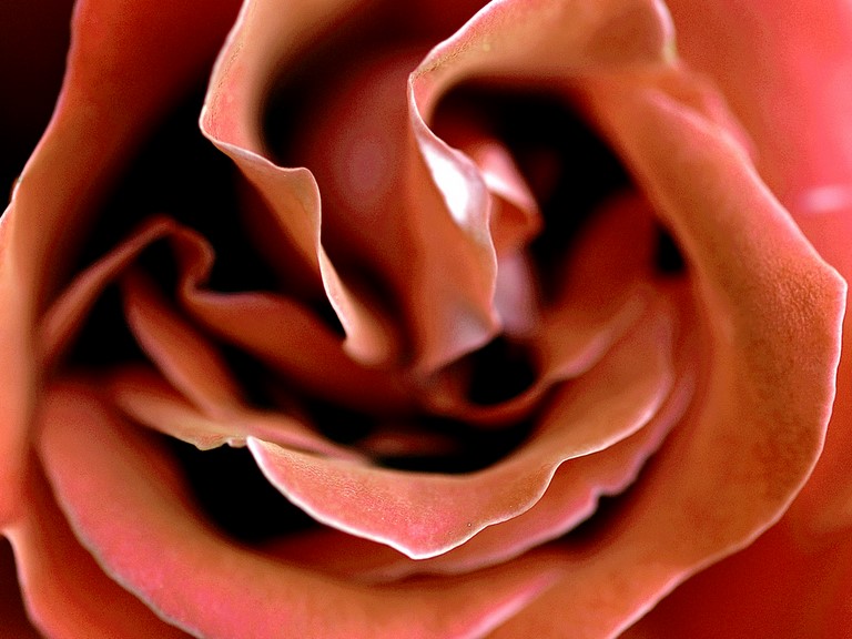 PROFOND BEAUTY