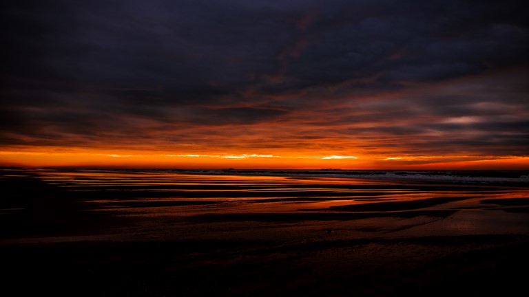BEACH DREAM