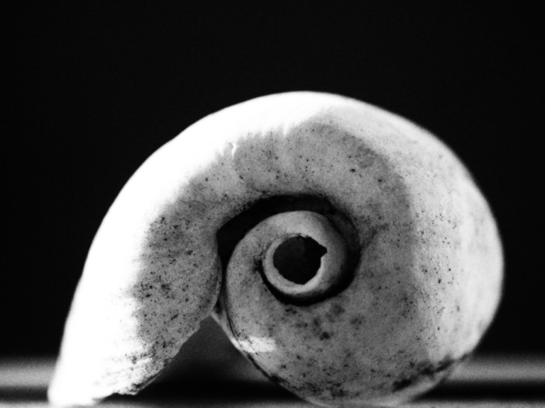 ART PHOTOGRAPHY SPIRAL DE VIE 2