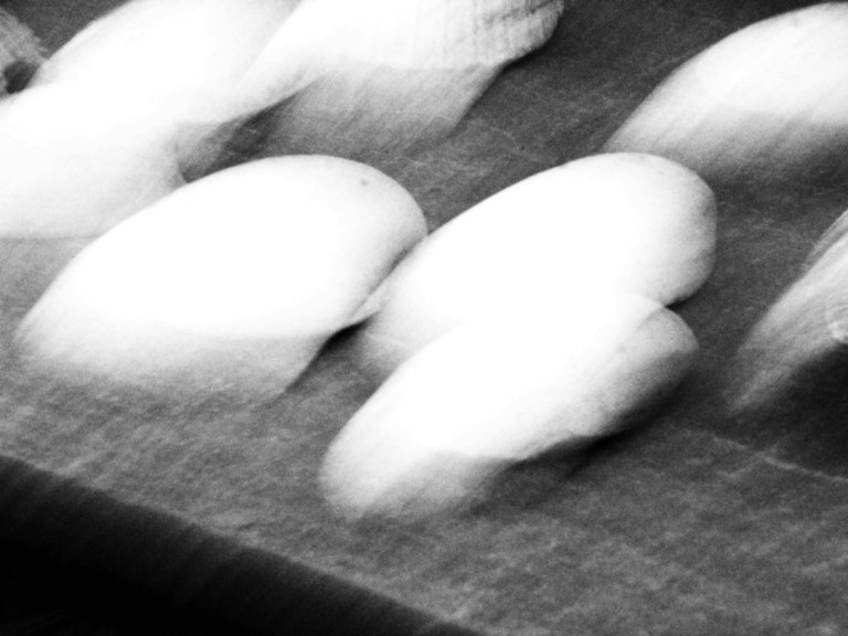 ART PHOTOGRAPHY COQUILLE_ART_31