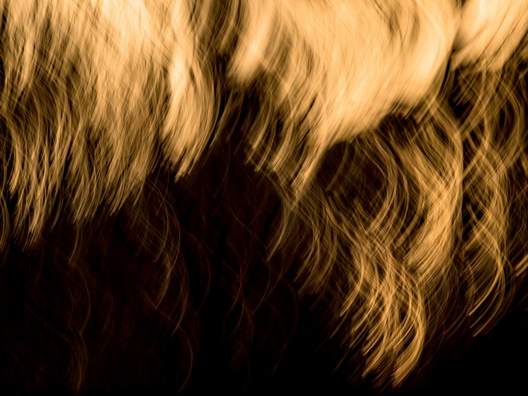 CONCERT DE LUMIÈRE