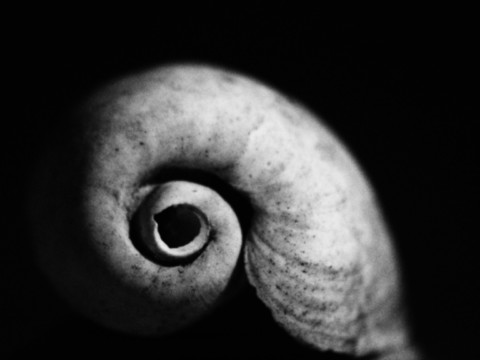 ART PHOTOGRAPHY SPIRAL DE VIE_4