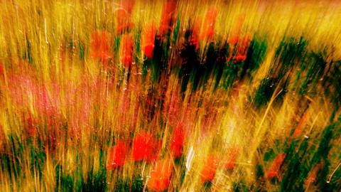 Eveil du printemps