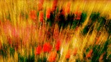Eveil du printemps